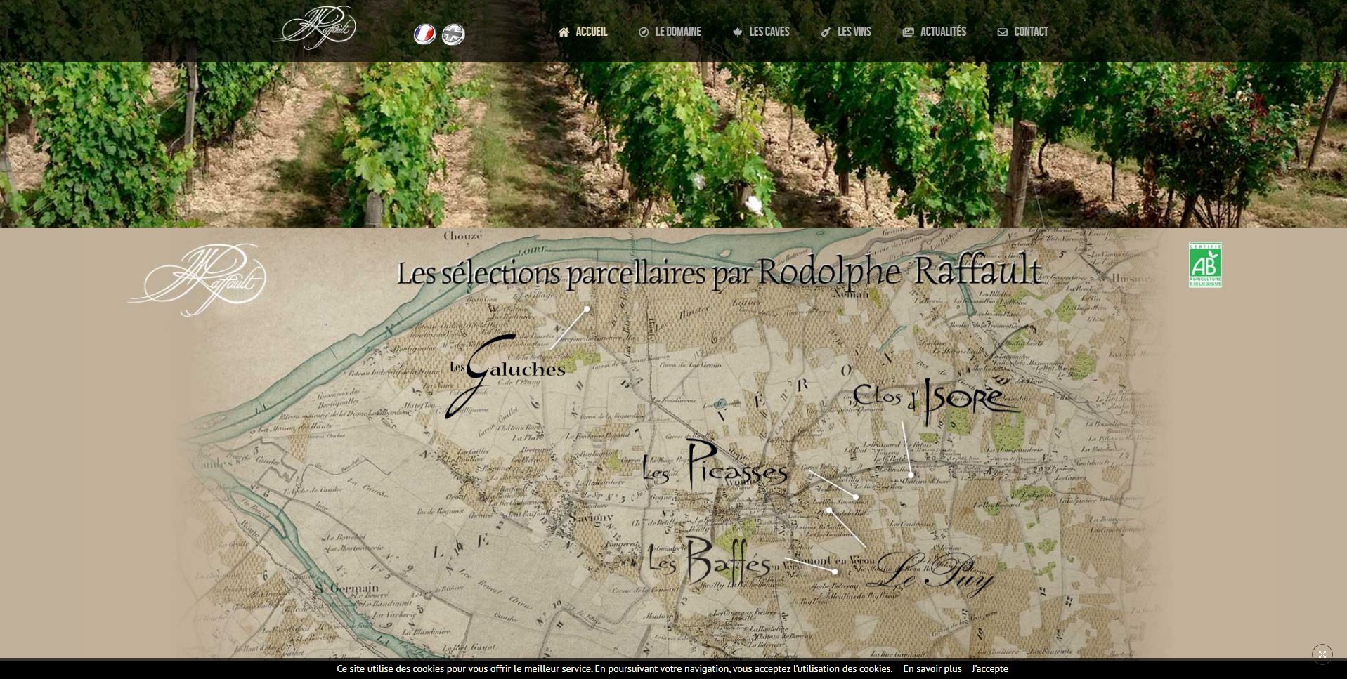carte vignoble du domaine Jean Maurice Raffault
