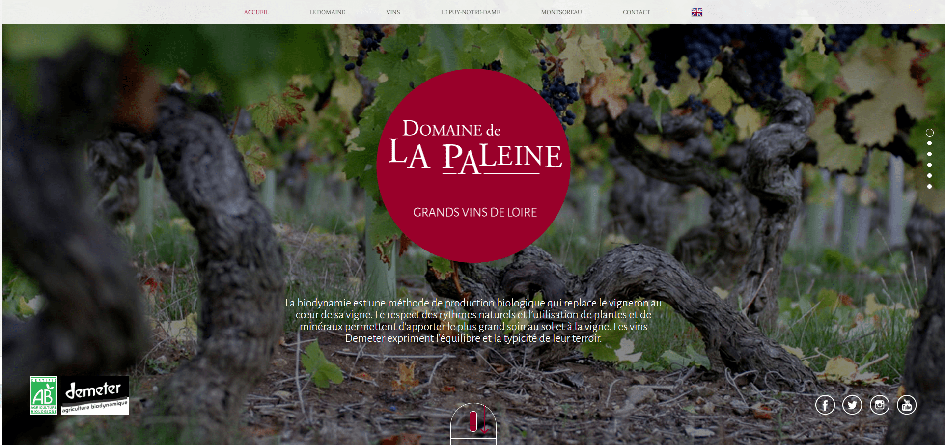 Home domaine de la Paleine viticulteur anjou