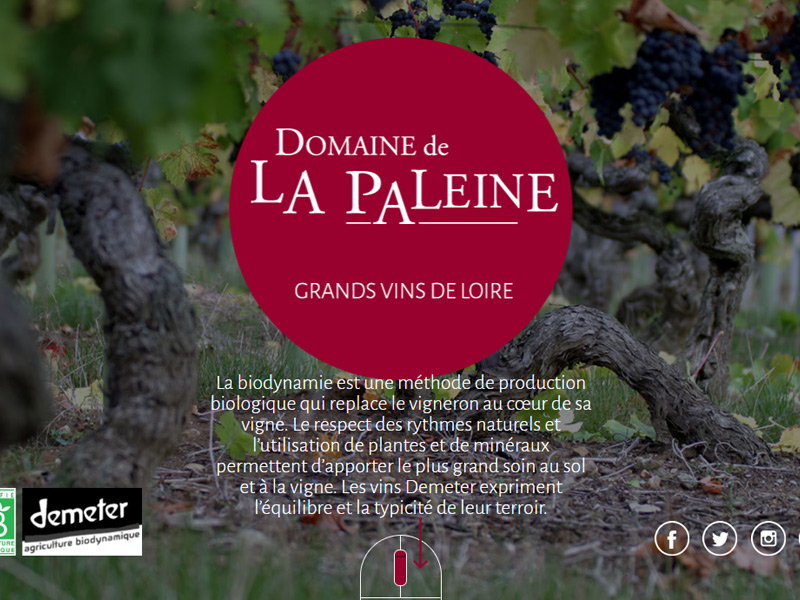 Domaine de la paleine - site vitrine