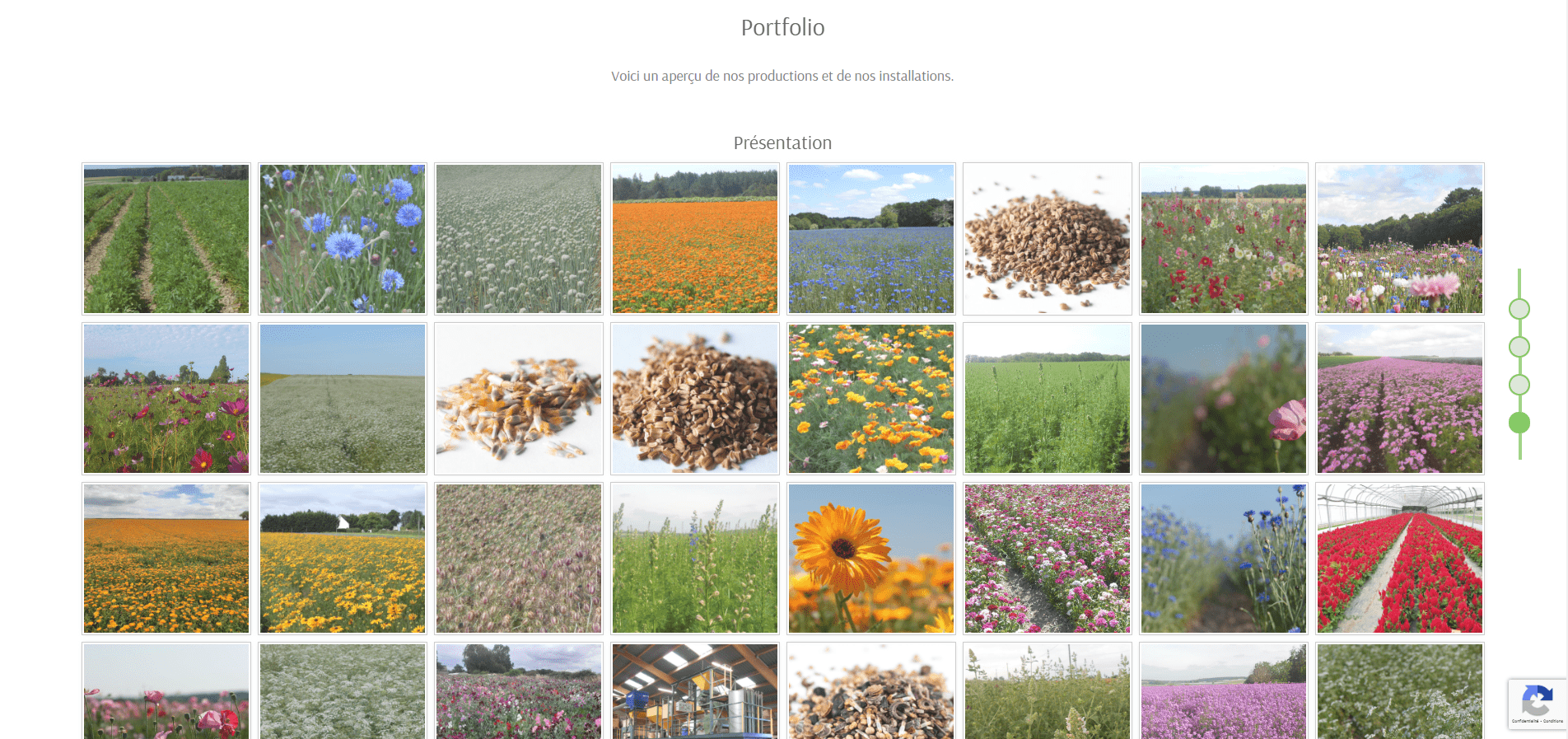 Portfolio barbarin