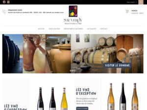 domaine sauveroy web design