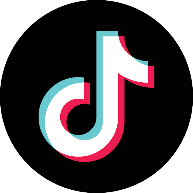 TikTok logo 2022